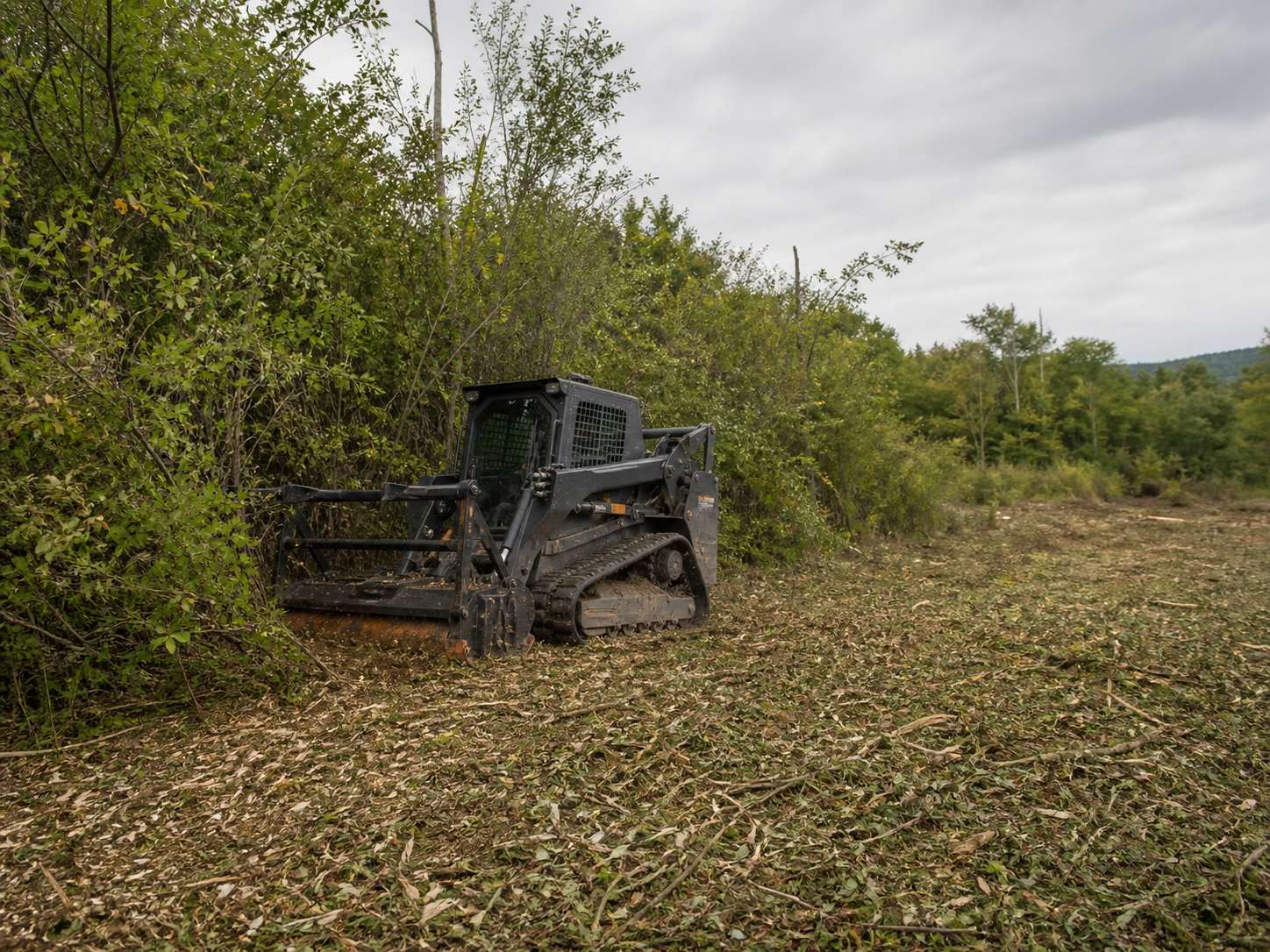 Brush Clearing