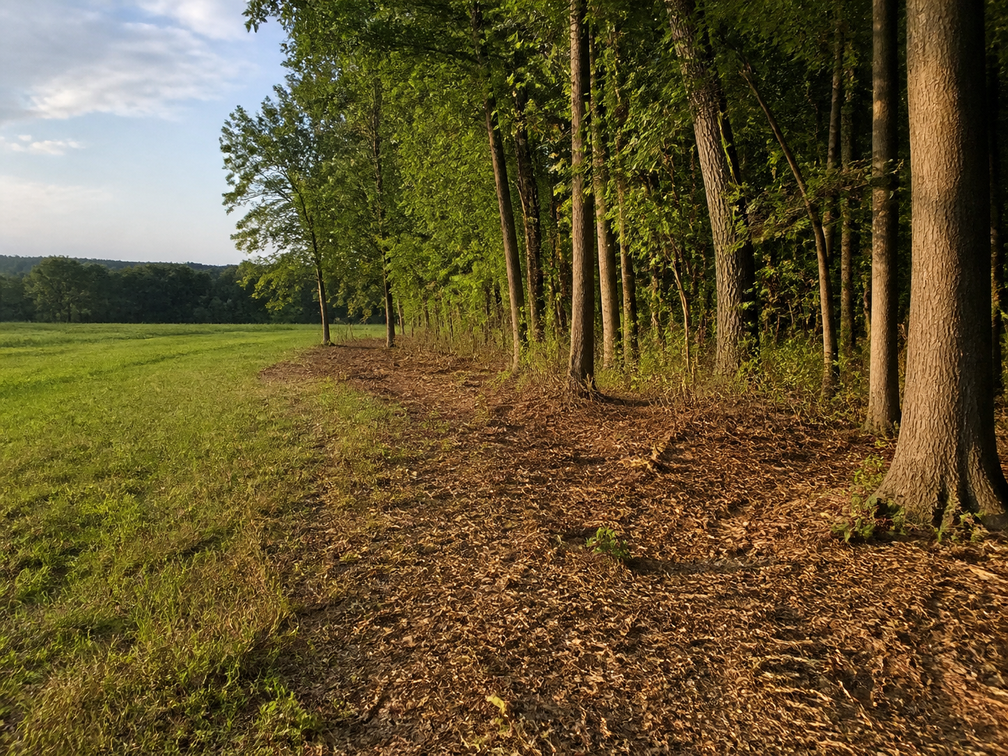 Representative imagery — not SK Terrain Solutions jobsite photos