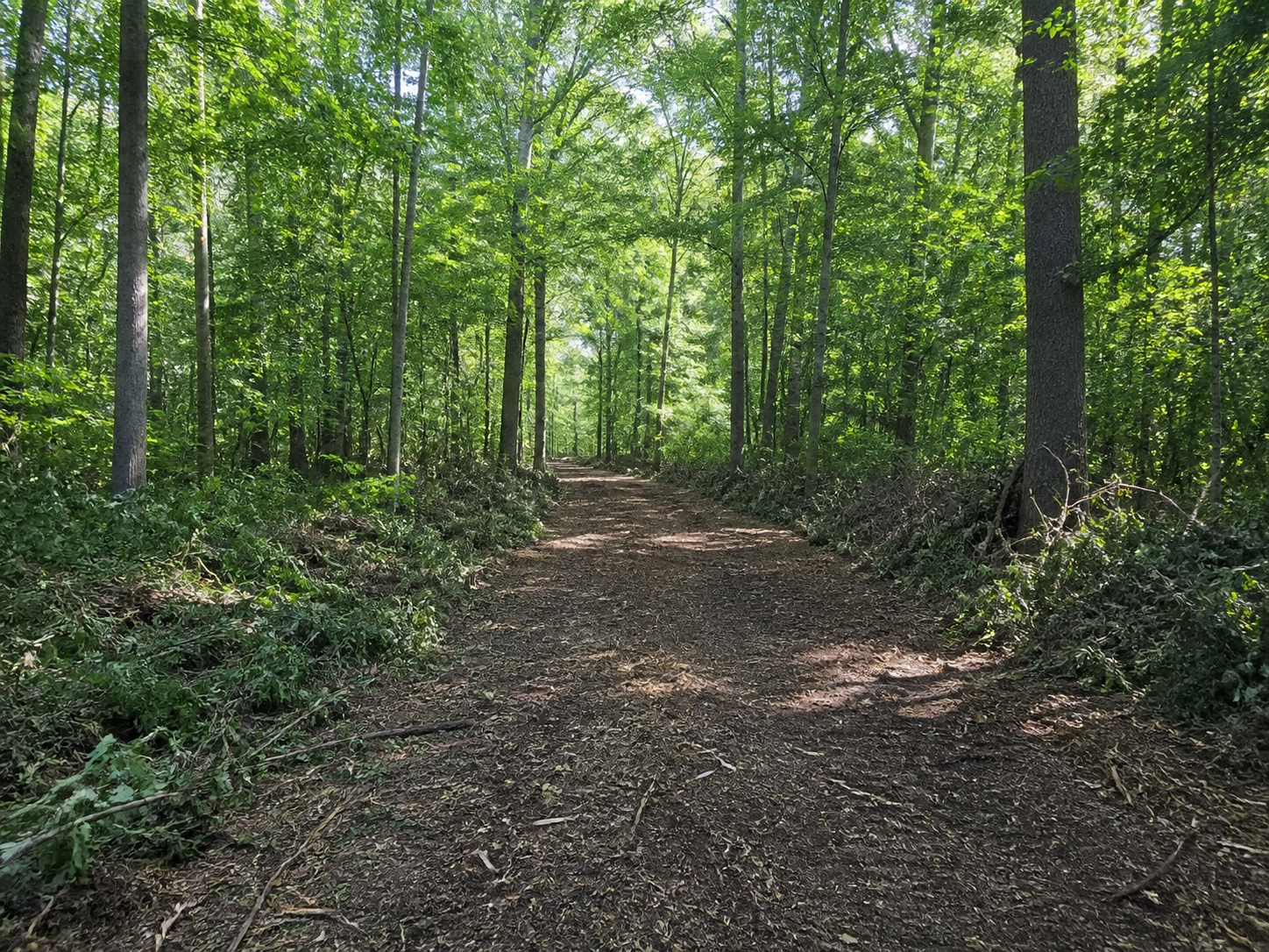 Access & Property Edge Clearing